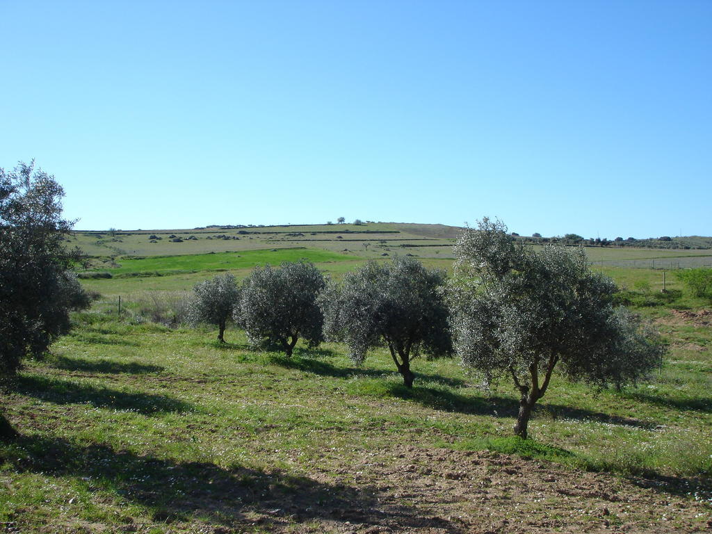 Horta Do Muro Кампо Майор Екстериор снимка